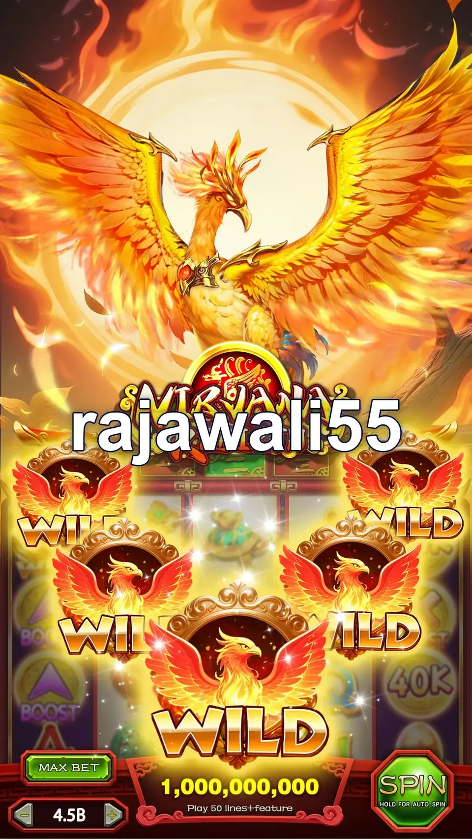 rajawali55 APK