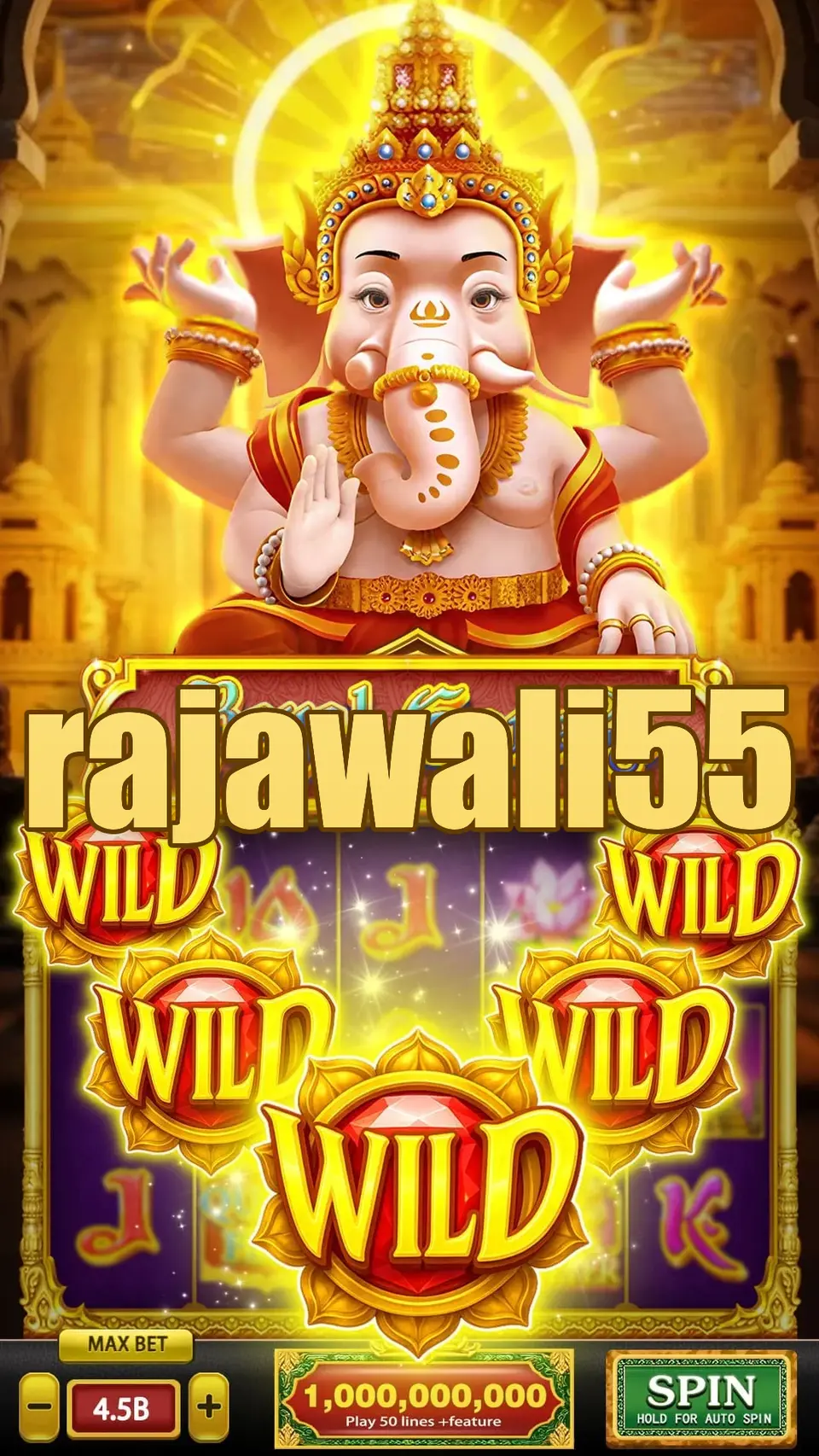 rajawali55 Masuk